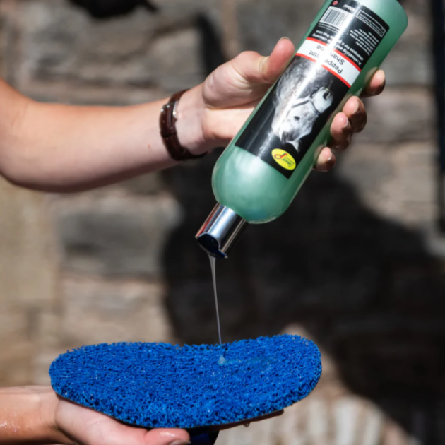 Super toiletteur de luxe Smart Grooming