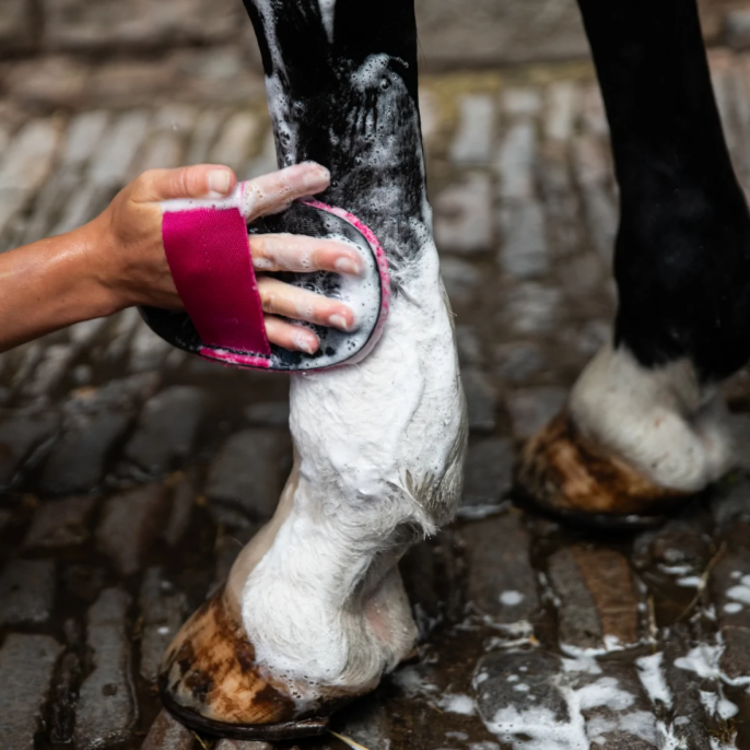 Super toiletteur de luxe Smart Grooming