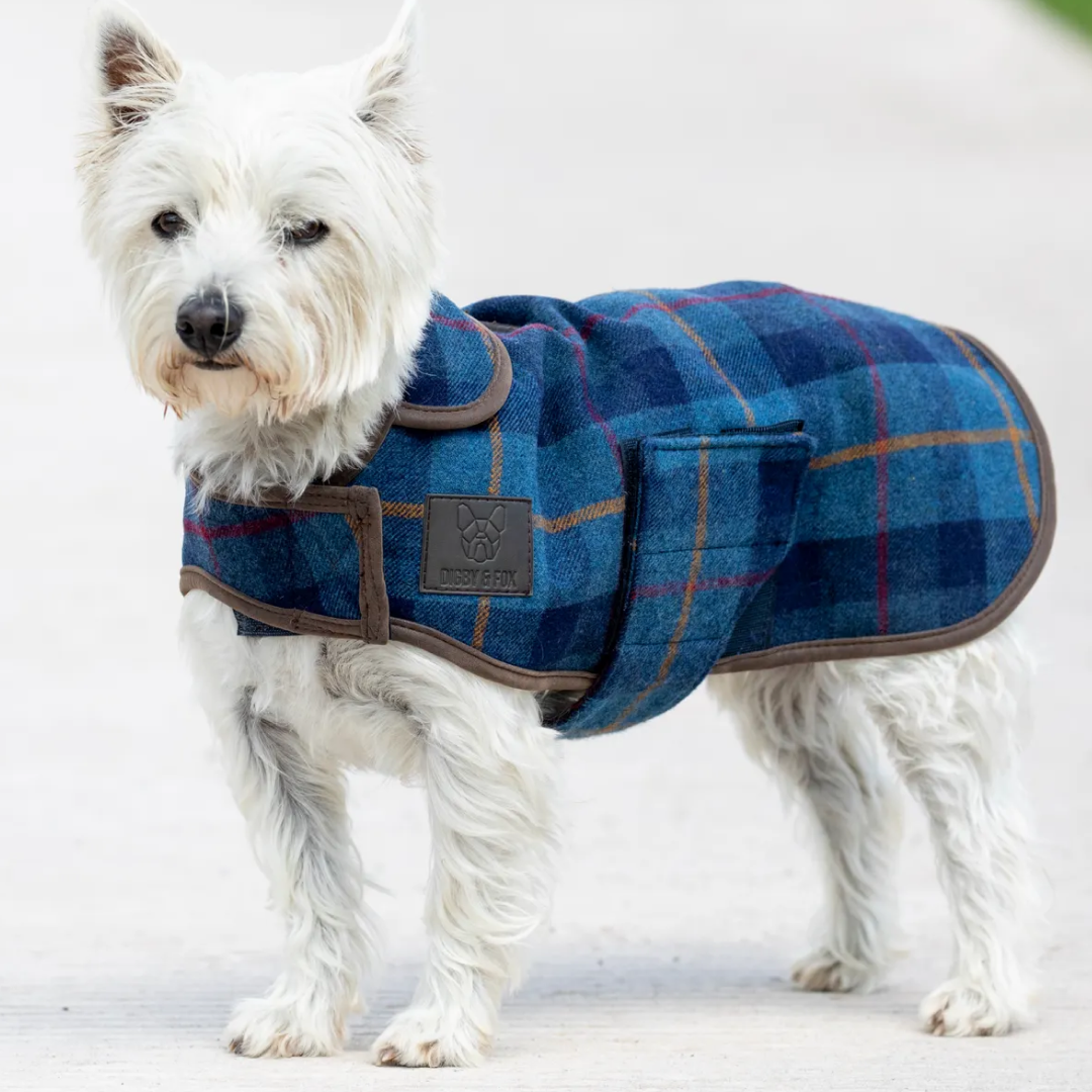 Shires Digby & Fox Tweed Dog Coat #colour_navy