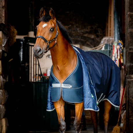 Horseware Dry Liner #colour_navy-silver