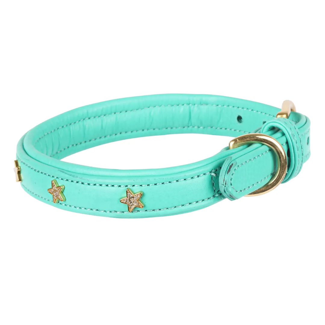 Shires Digby & Fox Star Hundehalsband