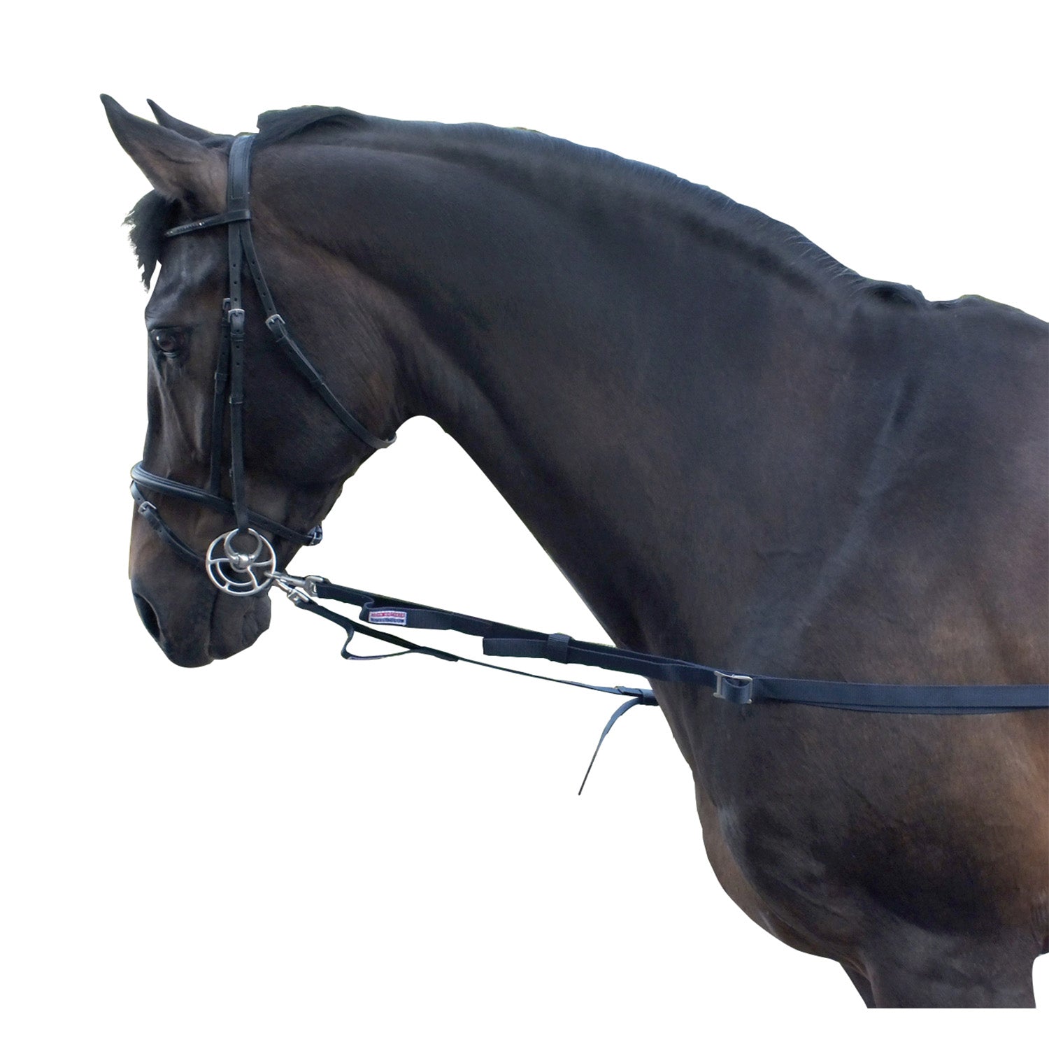 John Whitaker elastische Seitenzügel
