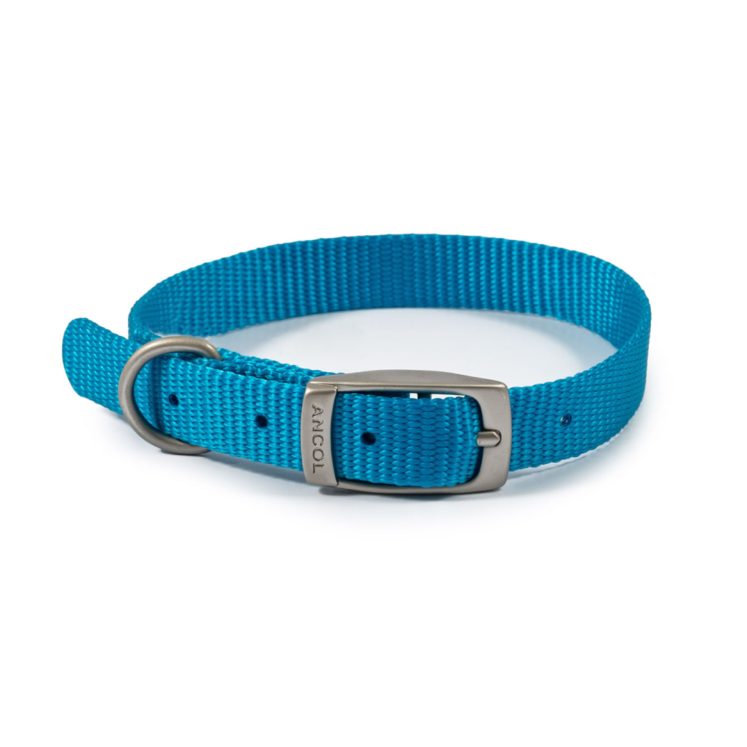 Ancol Viva Collar #colour_blue