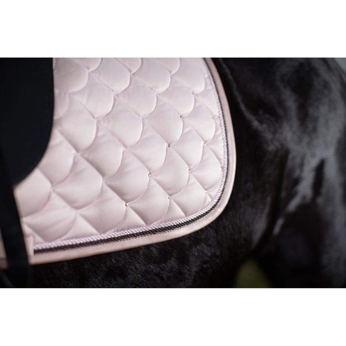 HKM Tapis de selle Cuivre Kiss 7794