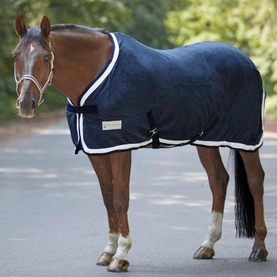 #colour_dark-blue-cream