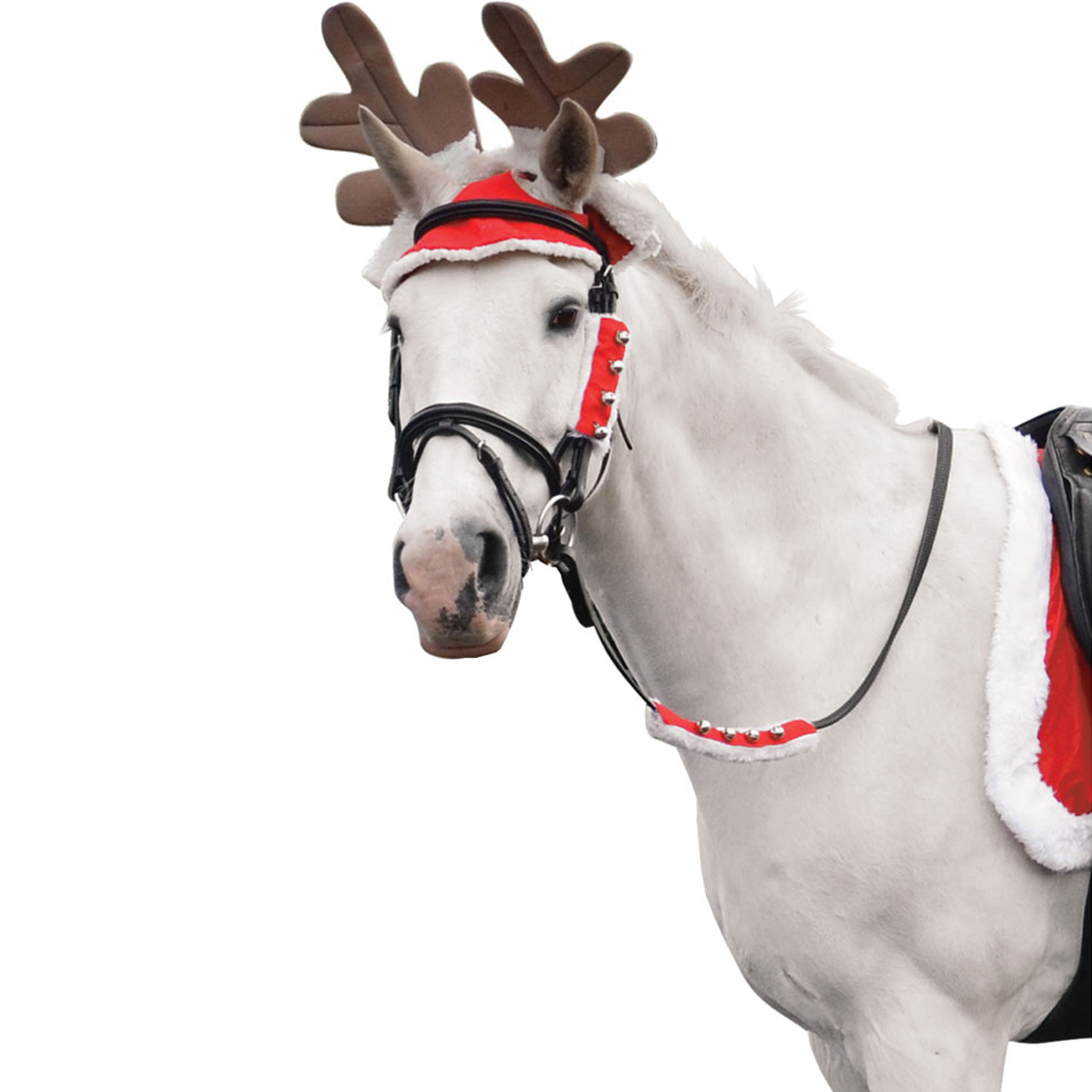 Bois de renne de Noël Hy