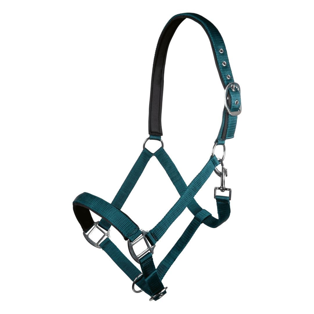 HKM Charming Head Collar #colour_hunting-green