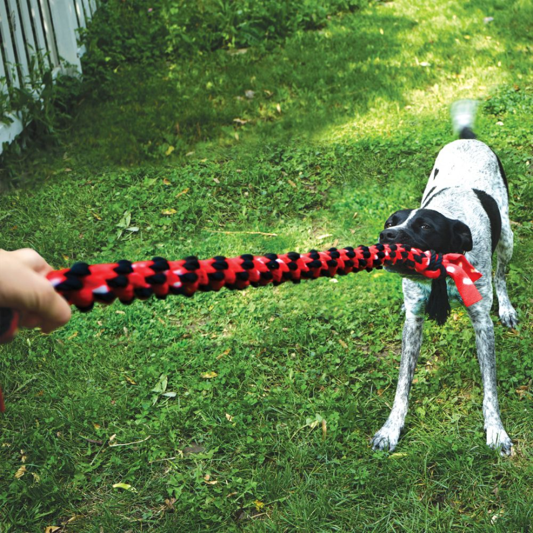 KONG Signature Corde Double Remorqueur