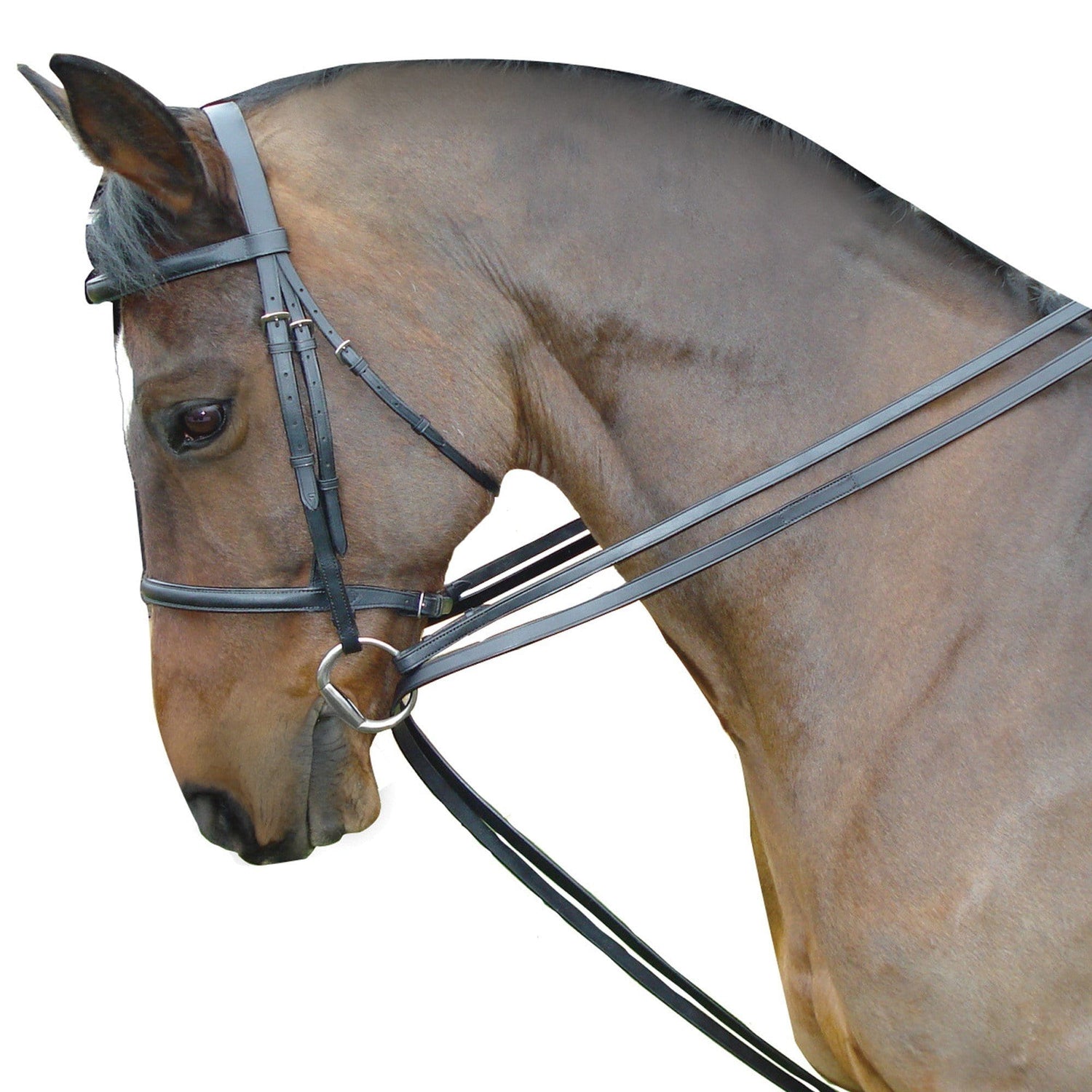 Kincade Leder-Schlaufzügel-Set