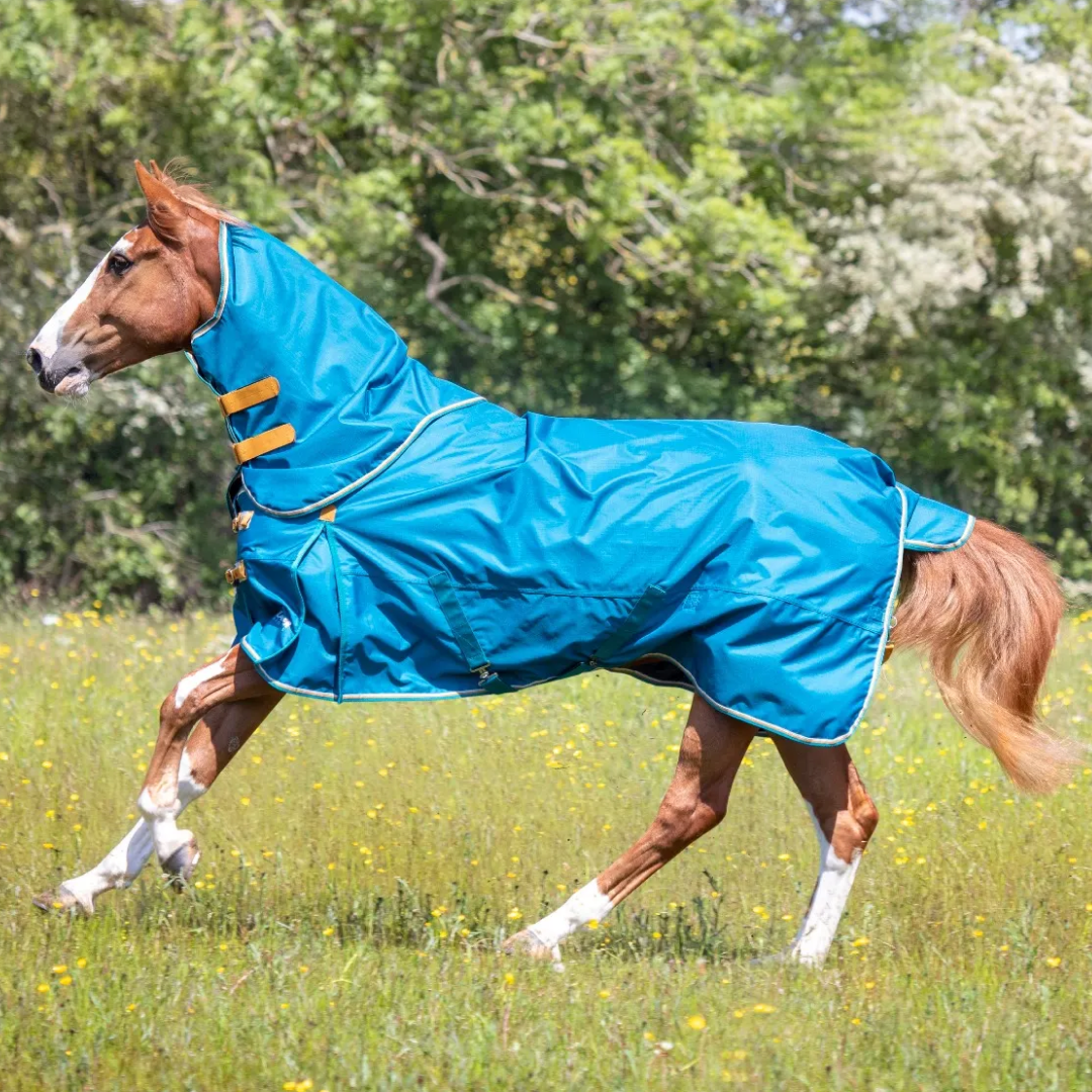 Shires Highlander Original Lite Turnout Rug & Neck #colour_teal