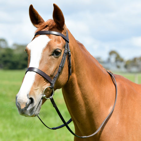 Kincade Classic Flat Hunt Bridle With Reins #colour_brown