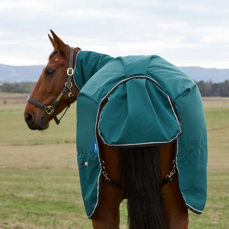 Weatherbeeta Comfitec Classic Combo Turnout #colour_green
