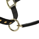 Shires ARMA Porto Headcollar #colour_black