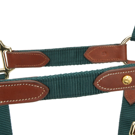 Shires ARMA Porto Headcollar #colour_green