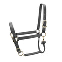 Shires ARMA Premium Adjustable Headcollar #colour_grey