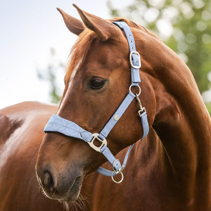 Waldhausen Rom Halter #colour_pastel-blue