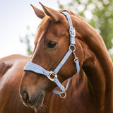 Waldhausen Rom Halter #colour_pastel-blue