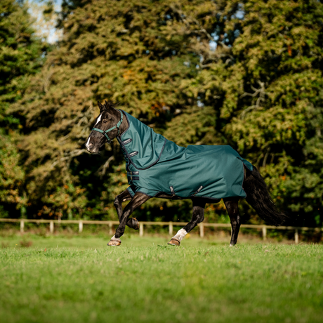 Horseware Ireland Amigo Ripstop 900D Plus 50g Pony Turnout Rug #colour_dynasty-green-navy-silver