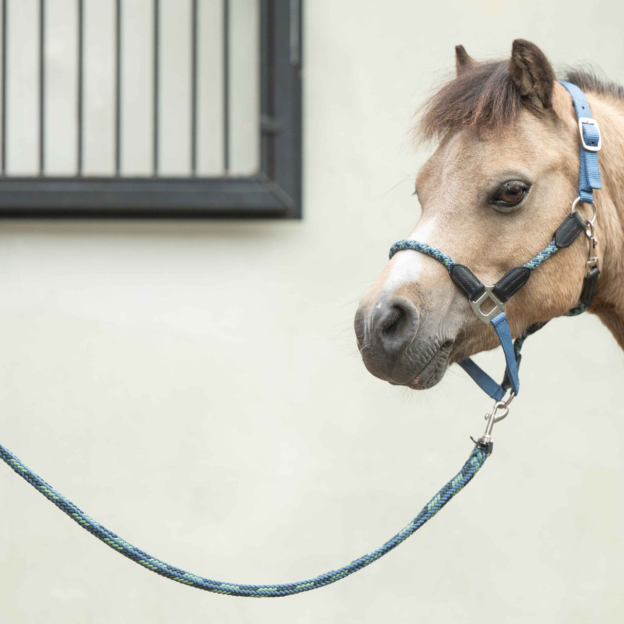 HKM Head Collar -Nele- #colour_smokey-blue