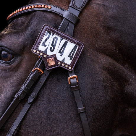 Imperial Riding Show and Glow Competition Number #colour_brown-brown-croco