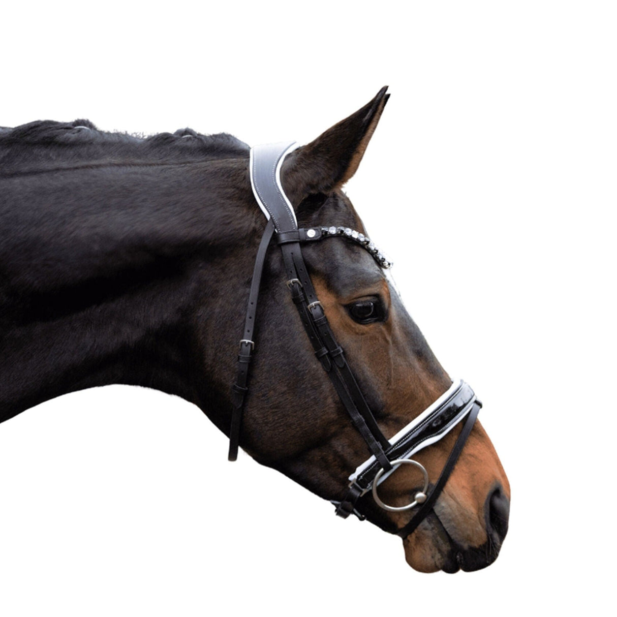 HKM Bridle -Manchester- #colour_black-blue