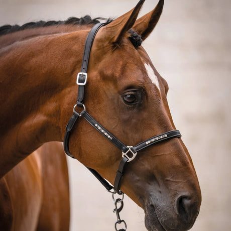 HKM Leather Head Collar -Sparkle-