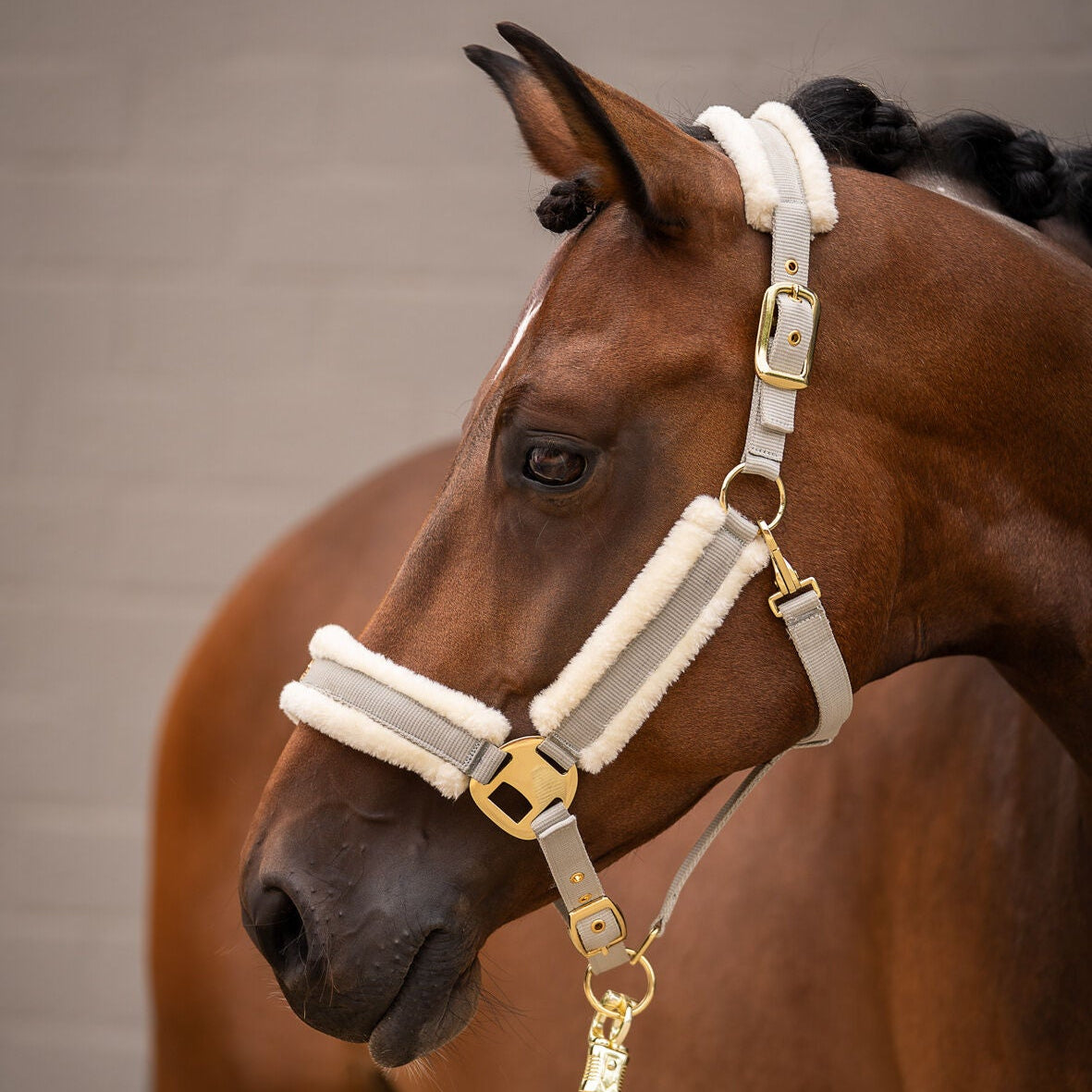 HKM Head Collar -Limone Elegant- #colour_grey-beige