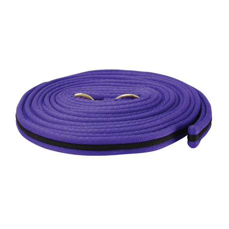 Hy Soft Webbing Lunge Rein