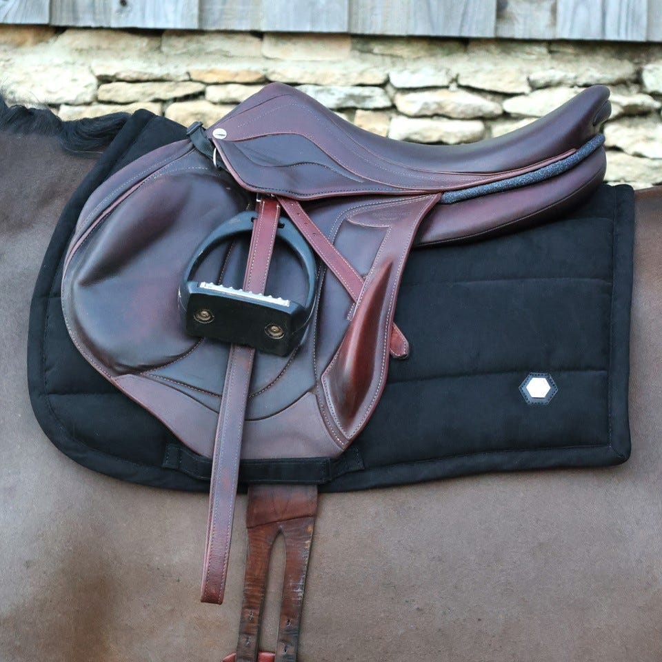 Coldstream Belford Suede GP Saddle Pad #colour_black