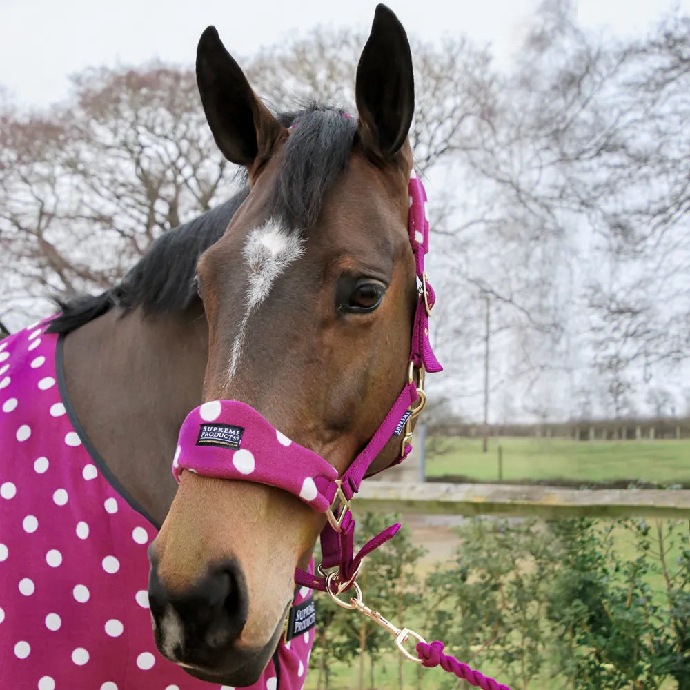 Supreme Products Dotty Fleece Head Collar & Lead Rope #colour_magical-mulberry