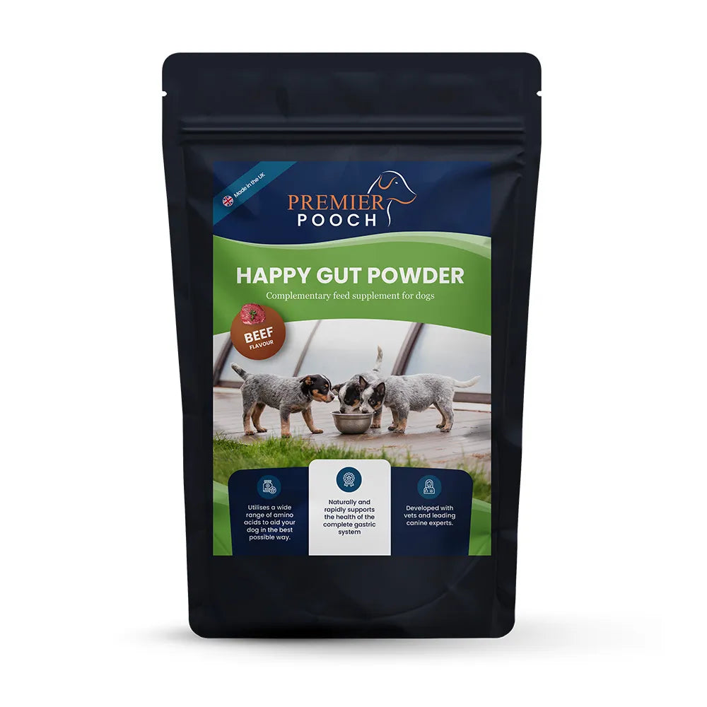 Premier Pooch Happy Gut Powder #style_beef