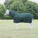 StormX Empra 300g Combi Stable Rug #colour_green