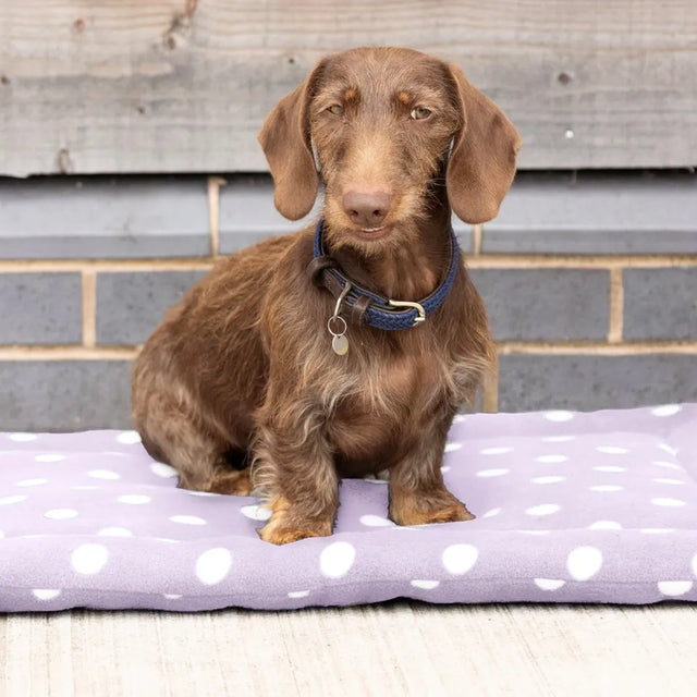 Supreme Products Dotty Fleece Dog Bed #colour_lavish-lilac