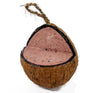 Natures Grub Coconut