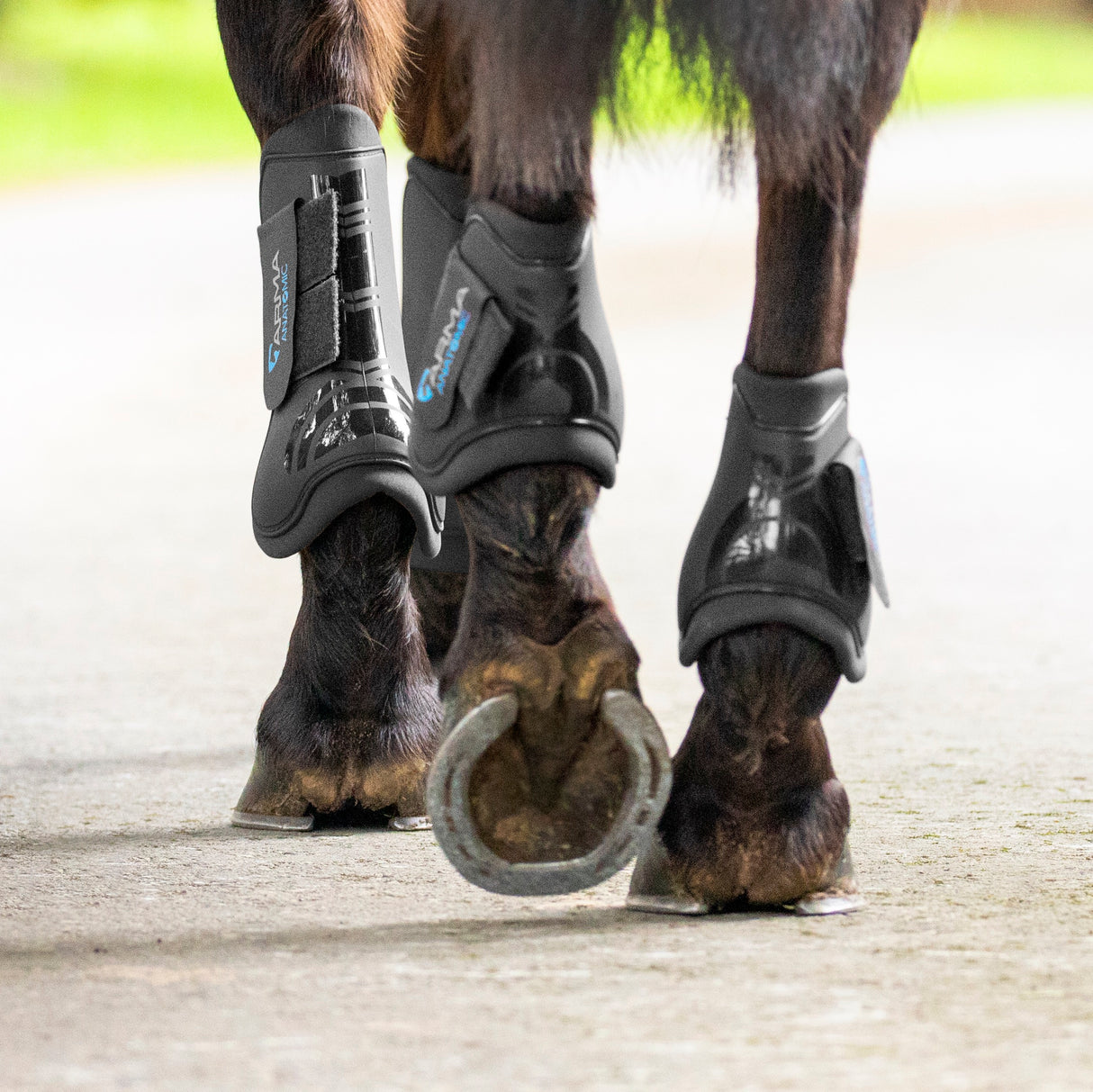 Shires ARMA Tendon Boots #colour_black-black