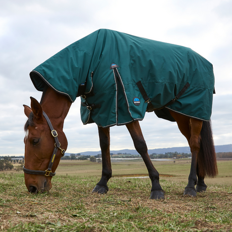 Weatherbeeta Comfitec Classic 220G Combo Turnout #colour_forest-green-black