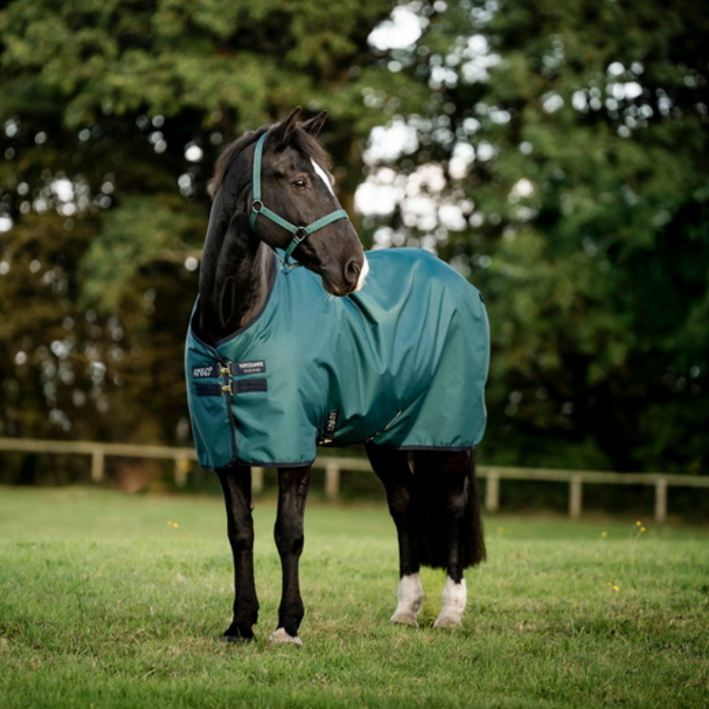 Horseware Ireland Amigo Ripstop 900 0g Turnout Rug #colour_dynasty-green-navy-silver