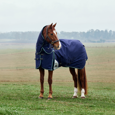 Weatherbeeta Comfitec Plus Dynamic 0G Detach-A-Neck Turnout #colour_navy-forest-green