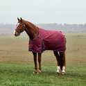 Weatherbeeta Comfitec Prelim 0G Turnout #colour_burgundy-navy
