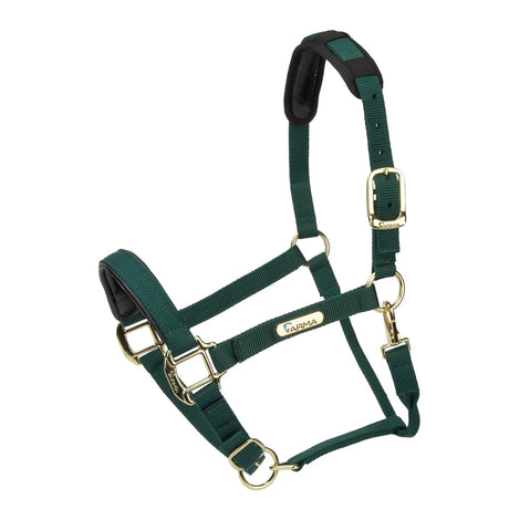 Licol Shires Topaz en nylon