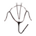 Waldhausen X-Line Breastplate with Long Bridge #colour_brown
