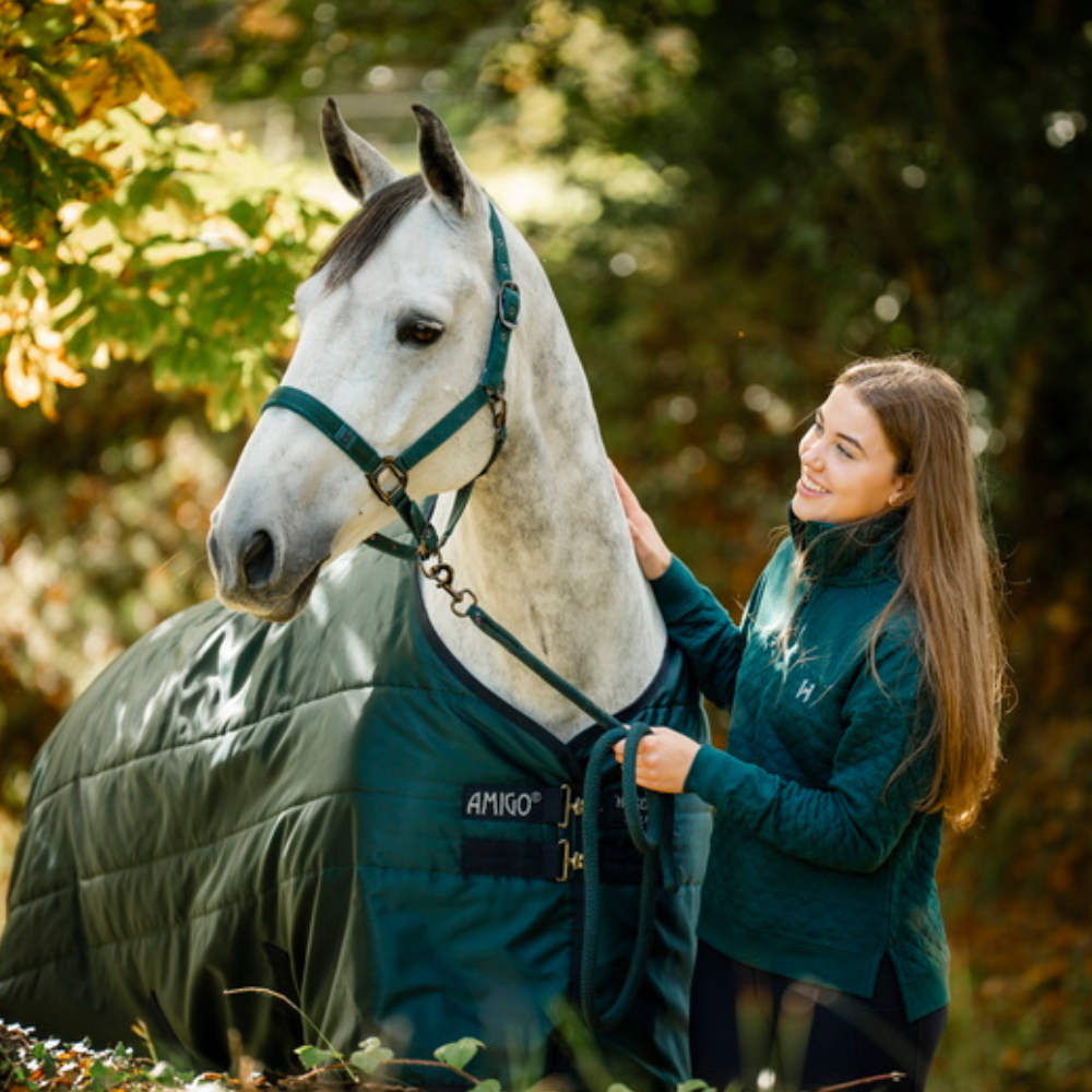 Horseware Ireland Amigo Ripstop 900 0g Turnout Rug #colour_dynasty-green-navy-silver