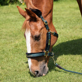 Licol et laisse avec logo en fausse fourrure Shires ARMA