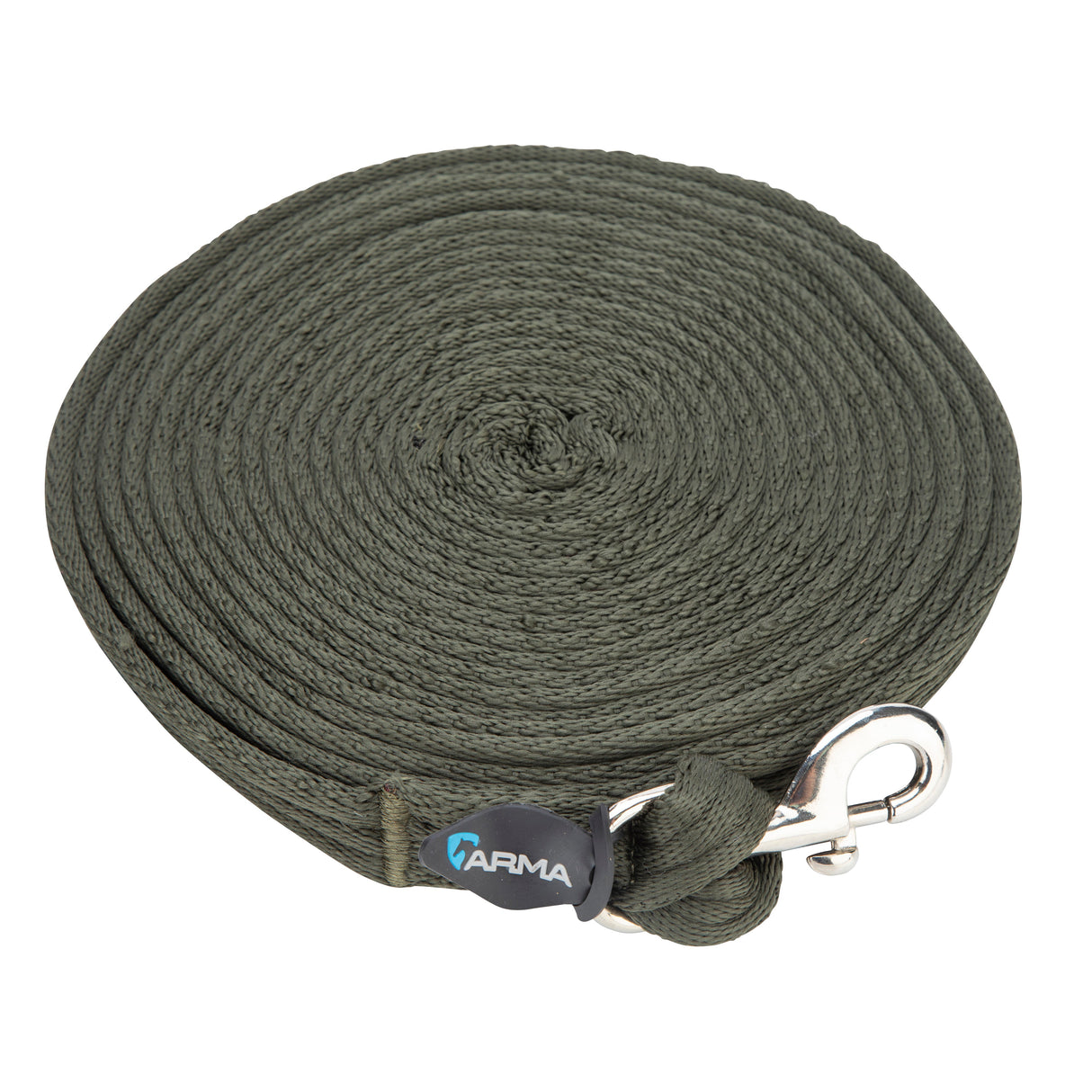 Shires Kissen -Web -Lunge -Linie