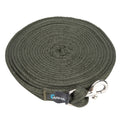 Shires Kissen -Web -Lunge -Linie