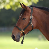 Shires Velociti Lusso Soria Leather Headcollar #colour_black