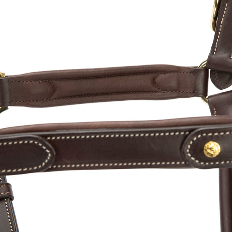 Shires Velociti Lusso Lorca Leather Headcollar #colour_havana