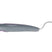 Hy Sport Active Hoof Pick #colour_royal-violet
