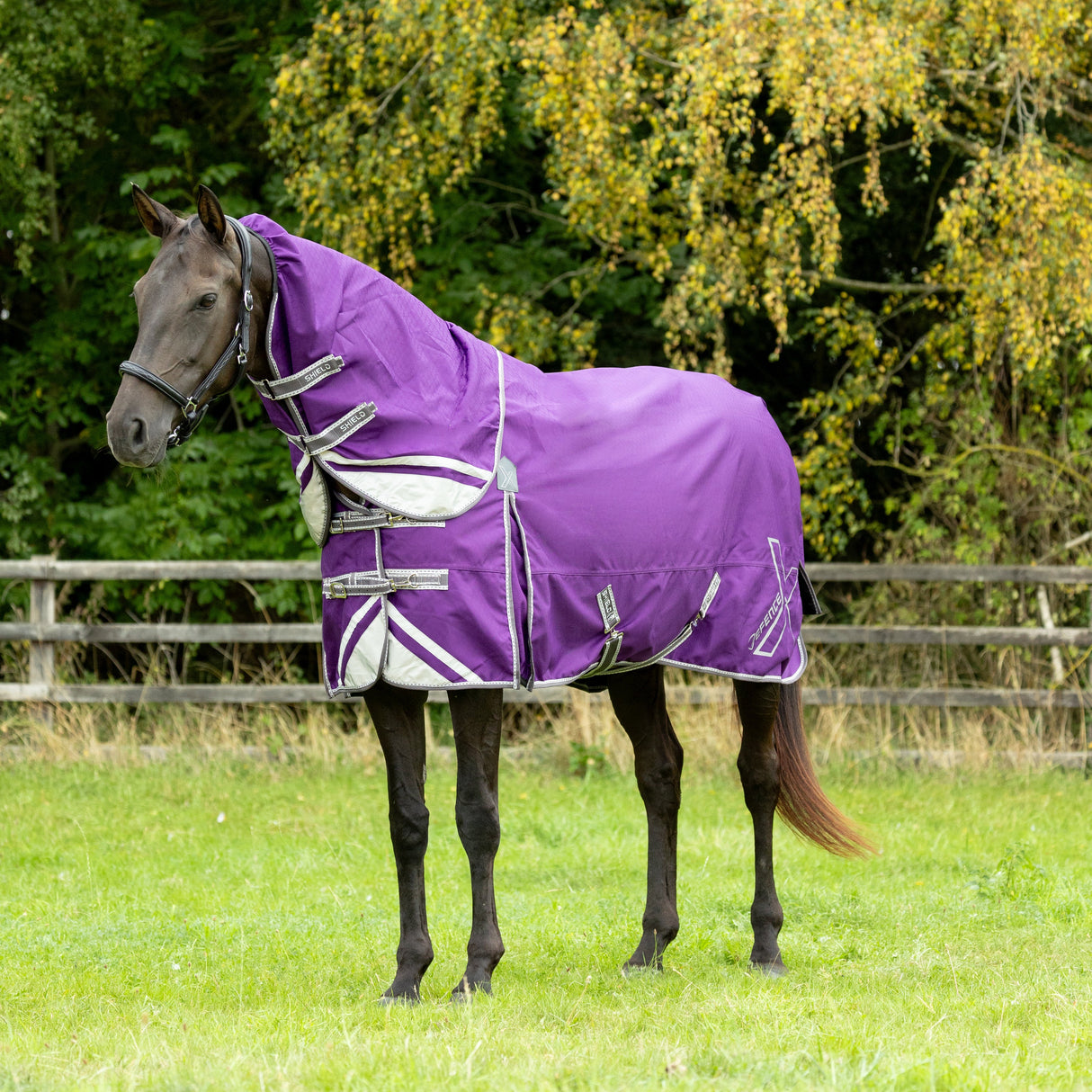 DefenceX Shield 300g Turnout Rug with Detachable Neck