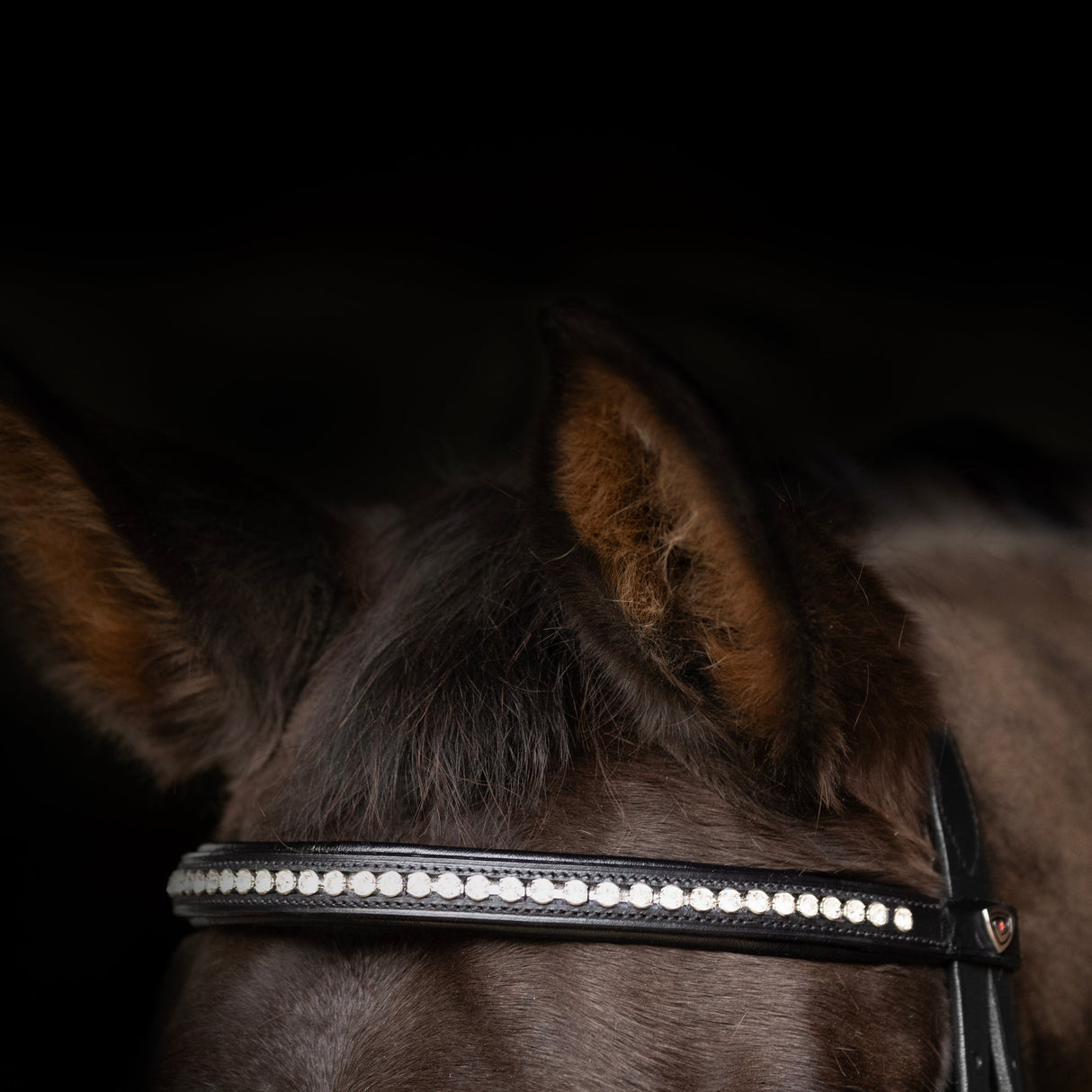 ProPresicce Signature Classic Diamante Browband by Hy Equestrian #colour_black-with-silver-diamantes